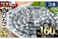 阿久根のきびなごお刺身セット計160尾(40尾×4パック)