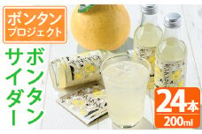 ボンタンサイダー(24本) 一つ一つ手作業で皮を剥き、果汁をしぼり仕上げました！ぼんたん ボンタン 文旦 サイダー ジュース 飲み物 飲料 果汁 フルーツ 果物 炭酸【ボンタンプロジェクト】akn055-02