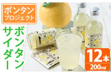 ボンタンサイダー(12本)一つ一つ手作業で皮を剥き、果汁をしぼり仕上げました！ぼんたん ボンタン 文旦 サイダー ジュース 飲み物 飲料 果汁 フルーツ 果物 炭酸【ボンタンプロジェクト】akn055-01