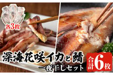 ＜先行予約受付中！2025年11月以降順次発送予定＞深海花咲イカと鯖一夜干しセット(各3枚) 国産 いか イカ 鯖 さば サバ 一夜干し 干物 ひもの 魚介 加工品 おつまみ おかず【福美丸水産】akn033-10
