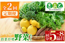 《思いやり型返礼品》＜定期便・全2回(6月・11月)＞あくね旬の野菜おまかせセット(5～8品目) 小松菜、レタス、青梗菜の3品目とその他野菜2品目以上を詰め合わせて全2回お届け！ ふるさと納税 阿久根市 特産品 野菜 お楽しみ さつまいも 芋【合同会社グッドフィールド】akn056-19