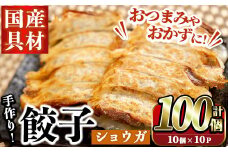 国産豚肉使用！手作りショウガ餃子(計100個・10個×10パック、たれ付き) 餃子 ぎょうざ ギョウザ ギョーザ しょうが 生姜 豚肉 おかず お惣菜【スーパーよしだ】akn058-07