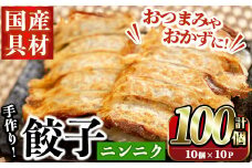 国産豚肉使用！手作りニンニク餃子(計100個・10個×10パック)国産 ギョウザ ぎょうざ お肉 にんにく おかず 惣菜 おつまみ【スーパーよしだ】akn058-06