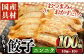 手作りニンニク餃子(計100個・10個×10パック)