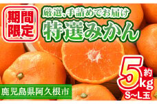 ＜先行予約受付中！2025年10月上旬以降順次発送予定＞数量限定！鹿児島県産 特選みかん(計約5kg) 国産 鹿児島県産 阿久根市産柑橘 果物 くだもの フルーツ 蜜柑 ミカン デザート 旬 数量限定 期間限定 手詰め 手詰【三笠農業生産】akn051-09