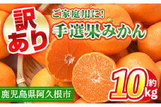 ＜先行予約受付中！2025年10月中旬以降順次発送予定＞訳あり！鹿児島県産手選果みかん(計10kg) 国産 柑橘 果物 フルーツ ご家庭用 サイズ 不揃い【三笠農業生産】akn051-11