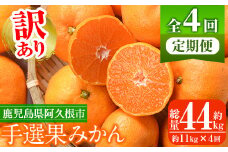 ＜定期便・全4回(10月・11月・12月・1月)＞＜訳あり・不揃い＞鹿児島県産！手選果みかん(総量約44kg・約11kg×4回) 国産 蜜柑 柑橘 果物 フルーツ ミカン 旬 冬 ご家庭用 おすそ分け【三笠農業生産】akn051-16