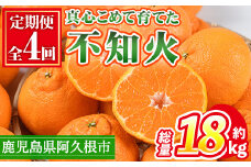 ＜定期便・全4回(12月・1月・2月・3月)＞鹿児島県産不知火ざんまい(総量約18kg) 国産 果物 フルーツ 柑橘 旬 しらぬい 定期便 頒布会 シラヌイ 数量限定 期間限定 阿久根市産【三笠農業生産】akn051-15