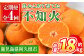 ＜定期便・全4回(12月・1月・2月・3月)＞鹿児島県産不知火ざんまい