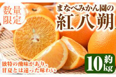 ＜先行予約受付中！2026年2月上旬以降順次発送予定＞まなべみかん園の紅八朔(約10kg) 国産 鹿児島県産 阿久根市産 柑橘類 みかん ミカン 蜜柑 果物 フルーツ べにはっさく 期間限定 数量限定 贈答用 ギフト デザート【有限会社まなべみかん園】akn034-05