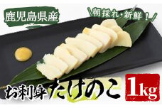 【平日着】＜先行予約受付中！2026年3月上旬以降順次発送予定＞お刺身たけのこ(計1kg) 国産 鹿児島県産 朝採れ タケノコ 竹の子 筍 真空パック 野菜 春 旬【上野食品】akn008-06-A
