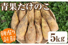 【平日着】＜先行予約受付中！2026年2月下旬以降順次発送予定＞朝堀り青果たけのこ(約5kg) 国産 新鮮 タケノコ 青果 竹の子 筍 野菜 春 旬 期間限定【上野食品】akn008-20-A