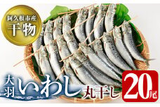 鹿児島県阿久根市産干物！大羽いわし丸干し(20尾)国産 鹿児島県産 魚介 魚貝 海産物 水産加工物 惣菜 簡単調理 セット 小分け【川本商店】akn030-09