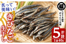 鹿児島県阿久根市産生干し「きびなご」(計5袋・1袋40g)国産 魚介 干物 ひもの キビナゴ がらんつ干物【マルフク川畑水産】akn029-04