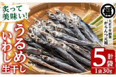 鹿児島県阿久根市産生干し「うるめいわし」(計5袋・1袋30g)国産 魚介 干物 ひもの イワシ 鰯 がらんつ干物【マルフク川畑水産】akn029-05