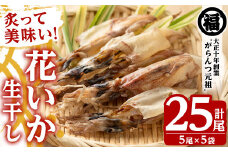 鹿児島県阿久根市産生干し「花いか」(計25尾・5尾×5袋)国産 魚介 干物 ひもの イカ 烏賊 がらんつ干物【マルフク川畑水産】akn029-06