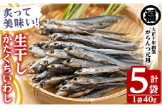 鹿児島県阿久根市産生干し「かたくちいわし」(計5袋・1袋40g)国産 魚介 干物 イワシ 鰯 がらんつ干物【マルフク川畑水産】akn029-08