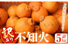 ＜先行予約受付中！2026年1月上旬以降順次発送＞＜訳あり・不揃いの為＞数量限定！無加温ハウス不知火(5kg) 国産 果物 フルーツ 柑橘 期間限定【桐野柑橘株式会社】akn070-12