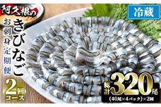 ＜定期便・全2回(冷蔵便)＞鹿児島県産！阿久根のきびなごお刺身セット(40尾×4P×2回)国産 魚介 おつまみ おかず 頒布会 青魚 子魚 小分け【椎木水産】akn054-10