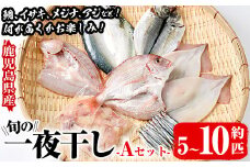数量限定！阿久根市産の旬の一夜干しグルメ＜A＞セット(鯛・アジ・イカ・サバなど)国産 鮮魚 詰め合わせ お楽しみ 海の幸 魚介類 干物 海鮮【さるがく水産】akn028-06