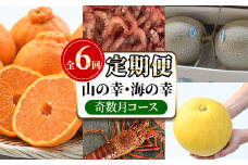 ＜定期便・全6回(奇数月)＞阿久根市の山の幸・海の幸(ぼんたん・不知火・タカエビ・メロン・伊勢海老など)国産 柑橘 みかん フルーツ 果物 魚介 頒布会【松永青果】akn053-37