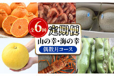 ＜定期便・全6回(偶数月)＞阿久根市の山の幸・海の幸！不知火・そら豆・タカエビ・メロン・伊勢えび・ぼんたんなど)国産 柑橘 みかん フルーツ 果物 魚介 頒布会【松永青果】akn053-38