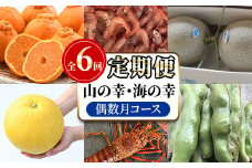 ＜定期便・全6回(偶数月)＞阿久根市の山の幸・海の幸！不知火・そら豆・タカエビ・メロン・伊勢えび・ぼんたんなど)国産 柑橘 みかん フルーツ 果物 魚介 頒布会【松永青果】akn053-38