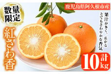 ＜先行予約受付中！2026年1月上旬以降順次発送＞数量限定！紅さわ香(10kg)国産 果物 柑橘 紅甘夏【桐野柑橘株式会社】akn070-03