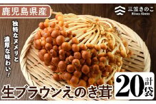 生ブラウンえのき茸(20袋・計3.6kg)国産 エノキ きのこ 茸 キノコ 個包装【三笠えのき茸生産組合】akn010-09