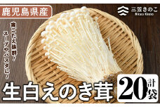 生白えのき茸(20袋・計5kg)国産 エノキ きのこ キノコ 個包装【三笠えのき茸生産組合】akn010-10