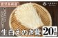 生白えのき茸(20袋・計5kg)
