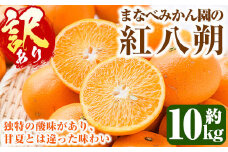 ＜先行予約受付中！2026年2月上旬以降順次発送予定＞訳あり！まなべみかん園の紅八朔(約10kg) 国産 鹿児島県産 阿久根市産 柑橘類 みかん 蜜柑 果物 ミカン デザート フルーツ 数量限定 期間限定 ご自宅用 ご家庭用【有限会社まなべみかん園】akn034-03