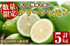 ＜先行予約受付中！2025年10月以降順次発送予定＞数量限定！リスボングリーンレモン(5kg)国産 果実 果物 リスボンレモン フルーツ 檸檬 柑橘 デザート 期間限定【桐野柑橘株式会社】akn070-14