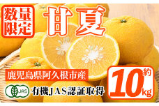 ＜先行予約受付中！2026年2月上旬以降発送予定＞数量限定！有機JAS 甘夏(約10kg) 国産 果実 果物 フルーツ 柑橘 デザート 期間限定 有機栽培【中村農場】akn084-05