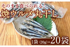 焼ウルメ丸干し20袋セット(20g×20袋)海産物 いわし 鰯 ウルメイワシ おつまみ おかず【下園薩男商店】akn086-14