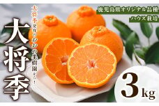 ＜先行予約受付中！2026年2月中旬以降順次発送予定＞数量限定！おおの果樹園の「大将季」(計3kg) 果物 フルーツ 果実 柑橘 ハウス栽培 無加温 みかん【おおの果樹園】akn087-03