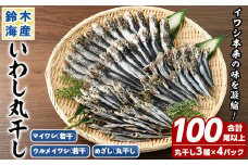 数量限定！イワシ丸干し3点セット(合計100尾以上) 国産 鹿児島県産 阿久根市産 魚 魚介 水産 いわし 鰯 ウルメイワシ うるめいわし めざし マイワシ まいわし 食べ比べ セット 詰め合わせ【鈴木海産】akn091-01