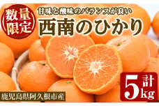 ＜先行予約受付中！2025年12月以降順次発送予定＞＜期間・数量限定＞西南のひかり(約5kg) 国産 鹿児島県 阿久根市 果実 果物 フルーツ 柑橘 デザート 酸味 甘味  【桐野柑橘株式会社】akn070-07