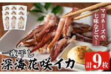 ＜先行予約受付中！2025年11月以降順次発送予定＞数量限定！深海花咲イカ(計9枚)国産 いか 一夜干し 干物 ひもの 魚介 加工品 おつまみ おかず【福美丸水産】akn033-20