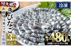 ＜定期便・全3回(冷凍便)＞鹿児島県産！阿久根のきびなごお刺身セット(計480尾・40尾×4P×3回) 冷凍 魚介類 海鮮 魚 きびなご キビナゴ 刺身 さしみ 刺し身 青魚 子魚 小分け【椎木水産】akn054-14