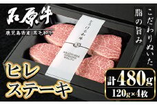 ＜数量限定＞石原牛 ヒレステーキ ヒレ(計480g・120g×4枚) 黒毛和牛 国産 九州産 鹿児島県産 牛肉 ブランド牛 和牛 ヒレ ステーキ 赤身 冷凍 贅沢 贅沢な一品 贈答用 ギフト用【株式会社石原PRO】akn083-10
