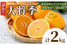 ＜先行予約受付中！2026年3月中旬以降順次発送予定＞数量限定！訳あり・ご家庭用！おおの果樹園の「大将季」(計2kg) 訳あり 訳アリ 果物 フルーツ 果実 柑橘 露地栽培 家庭用 無加温 みかん【おおの果樹園】akn087-01