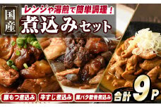 やわらか煮込み3種セット(合計9パック・各3パック) もつ 豚バラ 牛すじ 煮込み 大容量 小分け 国産 豚肉 モツ ホルモン おかず 簡単調理 煮込み料理 湯煎 レンジ パック akn031-06