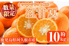 ＜先行予約受付中！2025年12月下旬以降順次発送予定＞紅甘夏(約10kg) 国産 果物 フルーツ 柑橘 期間限定【桐野柑橘株式会社】akn070-08