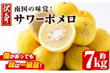 ＜先行予約受付中！2026年2月下旬以降発送予定＞＜訳あり・傷あり＞数量限定！サワーポメロ(約7kg) 国産 フルーツ 果物 柑橘類 サワーポメロ 甘味 酸味 デザート おやつ 訳あり【なかむら果樹園】akn014-01