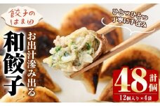 お出汁滲み出る和餃子(計48個・12個入り×4袋) 餃子 生餃子 ギョウザ ぎょうざ ギョーザ セット 詰め合わせ おかず お惣菜 冷凍 和風 水餃子【餃子のはま田】akn096-01
