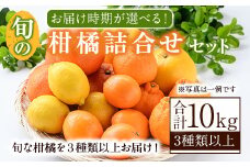 ＜先行予約受付中！2026年3月発送分！＞旬の柑橘詰合せセット (約10kg) 国産 柑橘 果物 フルーツ 柑橘 ミカン 旬 詰合せ セット【桐野柑橘株式会社】akn070-16-m03