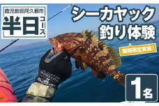 期間限定実施『パズル』オリジナル！シーカヤック釣り体験チケット(半日/1名) 阿久根 釣り シーカヤック アウトドア アクティビティ 自然 体験 ツアー チケット 海 マリンスポーツ 魚【パズル】akn098-03
