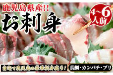 厳選お刺身BOX(4～6人前) 国産 お刺身 魚貝 魚介 鯛 カンパチ ブリ 海産物 刺身 おつまみ セット 【さるがく水産】akn028-16