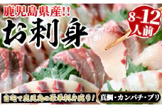 厳選お刺身BOX(8～12人前) 国産 お刺身 魚貝 魚介 鯛 カンパチ ブリ 海産物 刺身 おつまみ セット 【さるがく水産】akn028-27